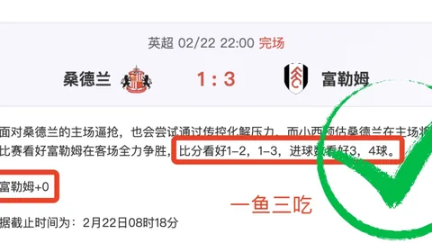 张之臻马赛站因伤告别，单打征程止步八强